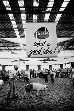 Pork What A Good Idea