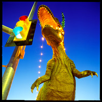 Dinostop