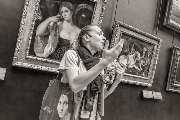 Tour Guide, the Louvre
